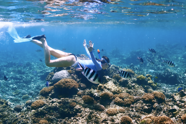 Beach Vacation Tip: What You Need to Know About Reef-Safe Sunscreen